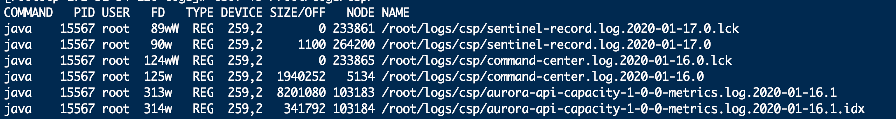 查看这个进程是否打开了/root/logs/csp目录下的文件